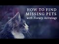 Missing Pets, Pregnancy, and More Horary Magic!