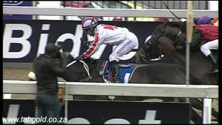 20150811 Greyville Race 4 won by WAY OF ESCAPE