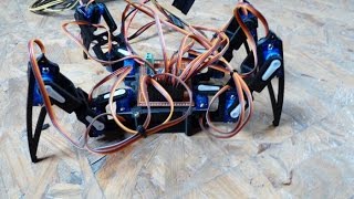 3D Printed Quadruped Robot First Test
