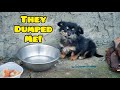 Tiny stray puppy shivering and crying in cold until someone heard him