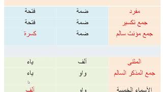 تدريبات على الأفعال الناسخة