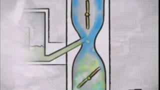Celebrity DSN Animation How do Engines Work Wealth