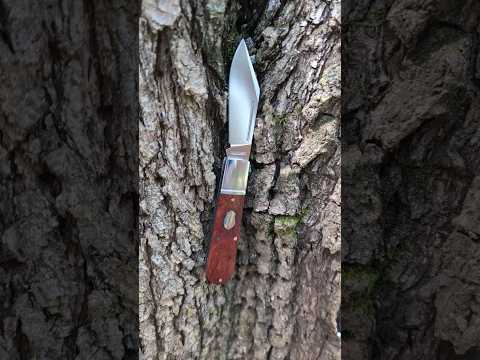 Stunning Pocket Knife