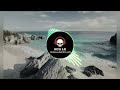 Raptures. & SOXX - Signs Ft. Barmuda NCS Release