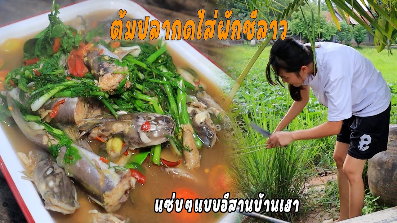 ต้มปลากดไส่ผักชีลาว ปลากดแม่น้ำสดๆ ต้มไส่ผักสวนครัว หอมนัวร์แซบคักเด้อ