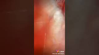 Adrija Roy New Tiktok Video