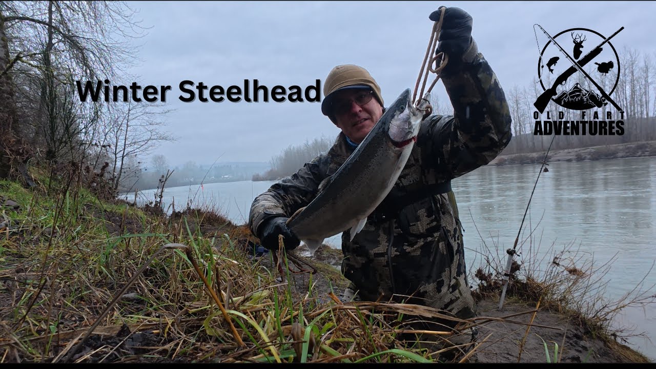 Winter Steelhead