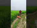 #bdcomedy #funnyclips #lol #memes #trending #youtubeshorts