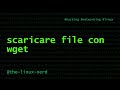 GNU/Linux: scaricare file da internet con wget