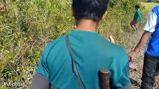 Fight Dog Ratting With Mouse - Ratting With Terriers - Ratting Dog