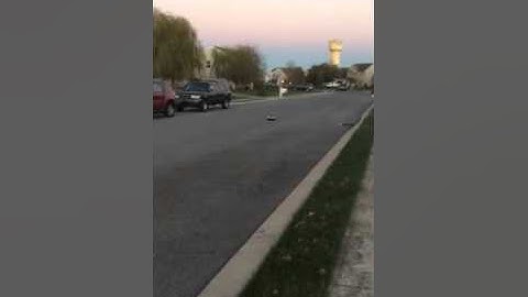 Speed run Ecx torment