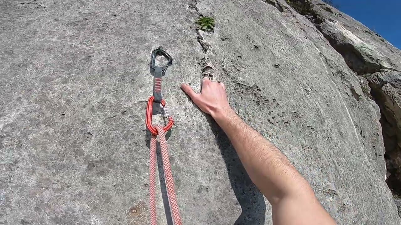 Napoleonica, Parallele - Il Tagliaerbe 6b