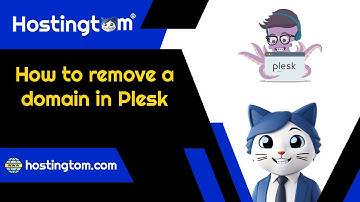 How to remove a domain in Plesk - Hostingtom