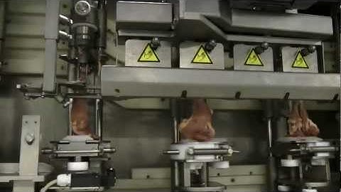 Meyn® WLD Whole Leg deboner M2.0