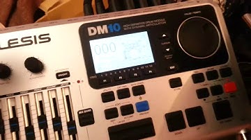 Problem with brand new Alesis Dm10 Module