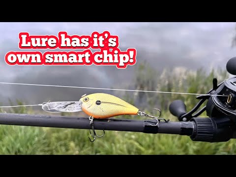 electronic fishing lures sound Saltwater Caller jigging a spoon in off electric fishing lure sold on