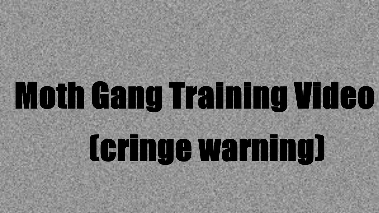 Official Moth Gang Training Video (Cringe Warning)