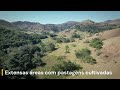🌿 VENDO FAZENDA CAPOEIRÃO/SÍTIO LAGE – UM PARAÍSO NATURAL NO CORAÇÃO DA MATA ATLÂNTICA 🌿