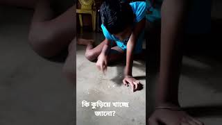 কি কুড়িয়ে খাচ্ছে জানো shorts