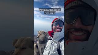 Los perros montañistas son lo mejor. #outdoors #mountain #hike #hiking #outdoorlife