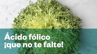 Ácido Fólico ¡5 consejos para que no te falte!