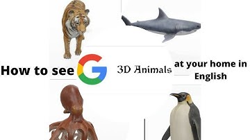 How To View Google 3D Animal Using New AR Feature