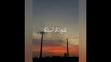 القارئ محمد اللحيدان🤍سورة الاحزاب🖤#قرآن #اجر_لي_ولكم#صلوا_على_النبي #المصحف