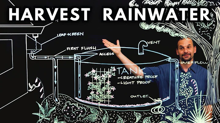 How to HARVEST RAINWATER from your roof - DayDayNews