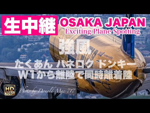 🔴 LIVE OSAKA ITAMI Airport 2025/6/22 大阪伊丹空港   ライブカメラ