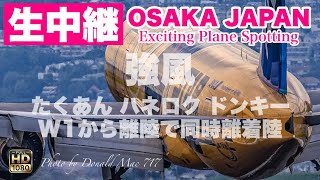 🔴 LIVE OSAKA ITAMI Airport 2025/6/22 大阪伊丹空港   ライブカメラ