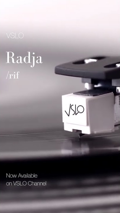 VSLO: /rif - Radja (Lyrics) | Vinyl Mode & City Night Ambiance #shorts