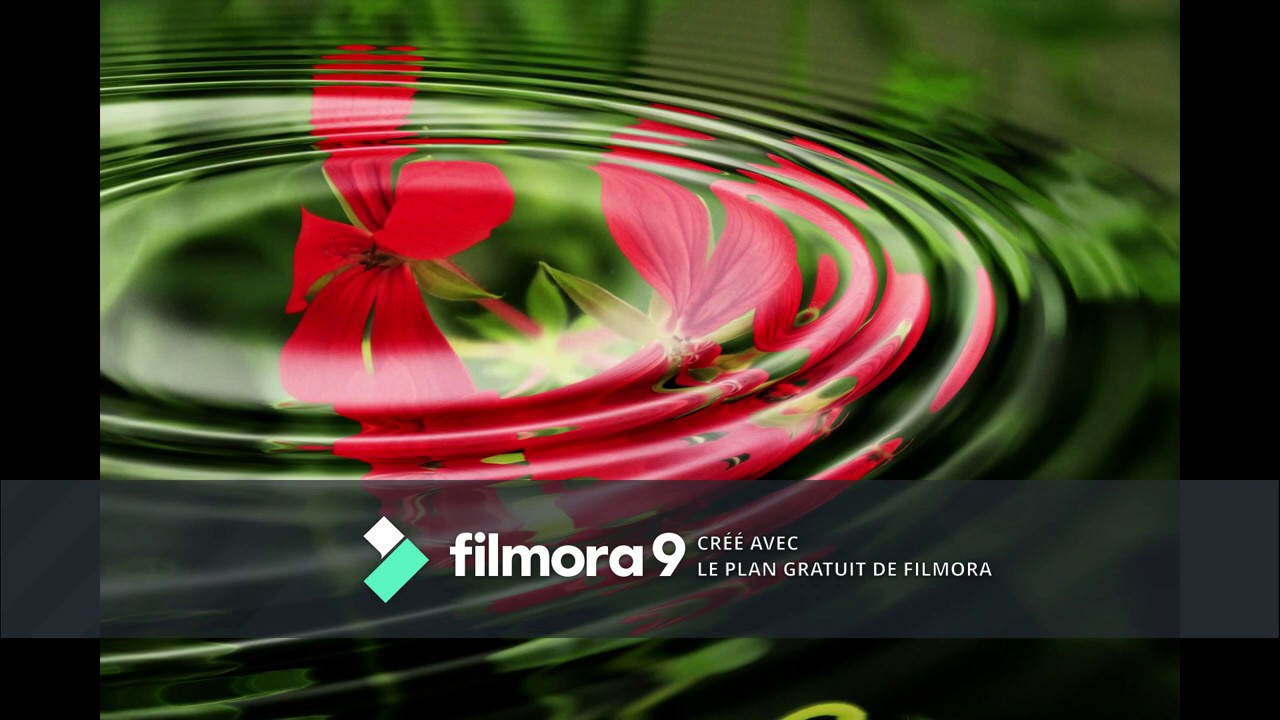 MUSIQUE AMBIANCE - YouTube
