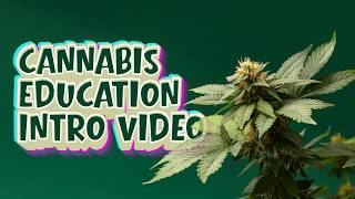 Cannabis customers are asking better questions.Is your team ready to answer them?