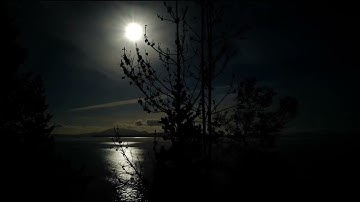 تلاوة عطرة من سورة الإخلاص بصوت القارئ #فيراس_نايف