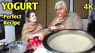 Dahi Jamane Ka Sahi Tarika | Yogurt Recipe | How To Make Yogurt | Dahi Recipe | 4K