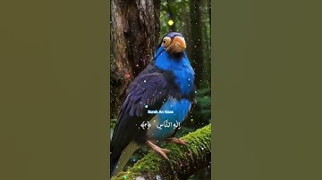 ✨ سورة الناس | Surah An-Nas – The Ultimate Protection from Evil Whisperings