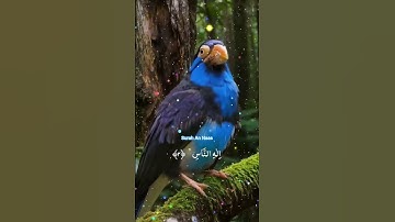 ✨ سورة الناس | Surah An-Nas – The Ultimate Protection from Evil Whisperings