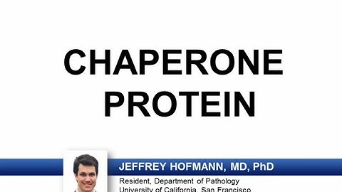 USMLE-Rx Express Video of the Week: Chaperone Protein
