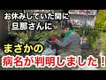 【庭仕事】長らくお休みして、ご心配おかけしました🙇‍♀️／指定難病