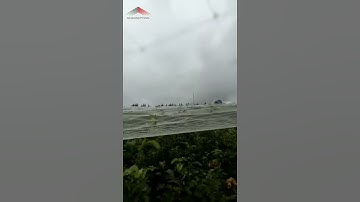 Goldnetting bird nets