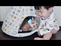 赤ちゃんのちょっかいを じっと耐える猫