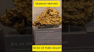 Humboldt’s Secret Gold! #viral #trending #shorts #naturkundemuseum
