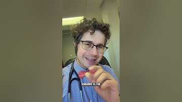 What are my credentials?