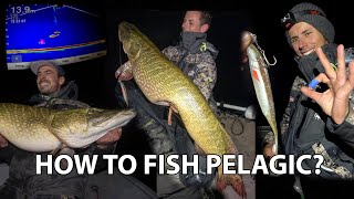 Pelagisch vissen how-to?! Q&A over pelagic sharpshooting op grote Snoek en Snoekbaars!