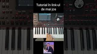 Hațegană la orgă #korgpa1000 #muzicapopulara #muzicadepetrecere #tutorialorga #banat