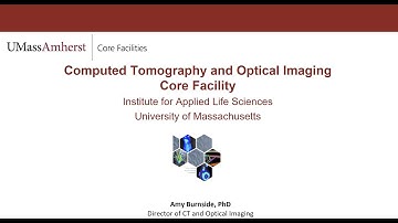 Core Facilities Seminar: CT and Optical Imaging