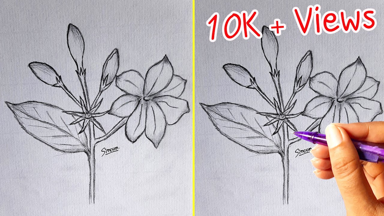 How to Draw Jasmine Flower Step by Step (Very Easy) - YouTube