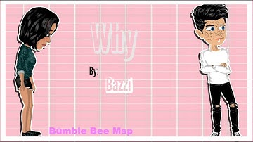 Why - MSP Version