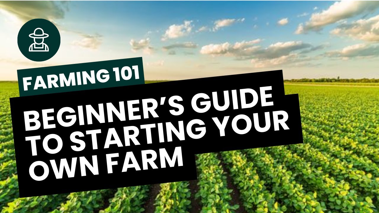 FARMING 101: Beginner's Guide to Starting your own Farm - YouTube