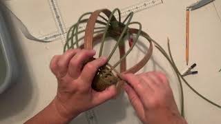 Busy Beaver Basket Weaver # 11:  inserting ribs and continual weaving (Melon basket)